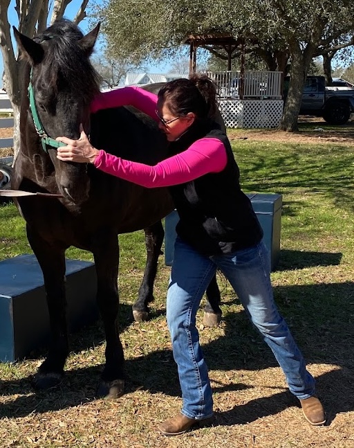 Mobile Animal Chiropractor Serving Central to North Texas
